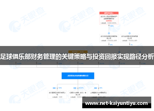 足球俱乐部财务管理的关键策略与投资回报实现路径分析