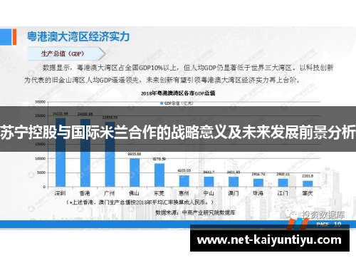 苏宁控股与国际米兰合作的战略意义及未来发展前景分析