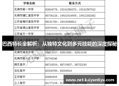 巴西特长全解析：从独特文化到多元技能的深度探秘