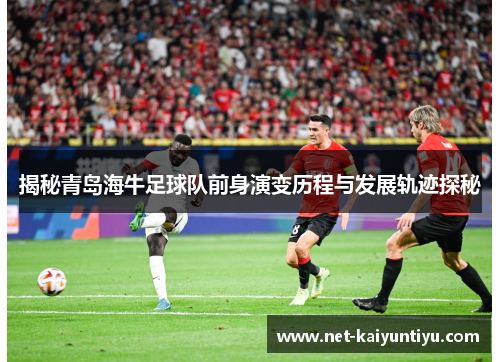 揭秘青岛海牛足球队前身演变历程与发展轨迹探秘 揭秘青岛海牛足球队前身演变历程与发展轨迹探秘